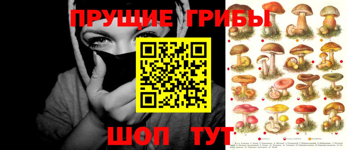 Тюмень  Псилоцибиновые грибы Cubensis  Вход с VPN  Псилоцибиновые грибы GOLDEN TEACHER 